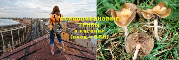 эйфоретик Абинск