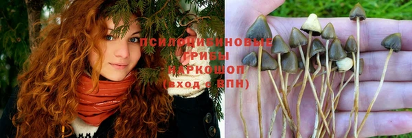 спиды Абдулино