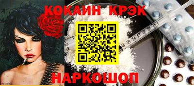 дмт Кингисепп