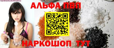 дмт Кингисепп