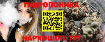 сатива Кинель