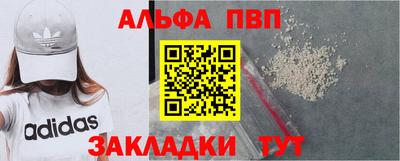 дмт Кингисепп