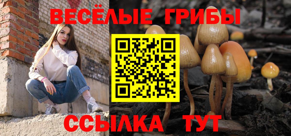 цены наркотик  Чапаевск  Галлюциногенные грибы MAGIC MUSHROOMS 