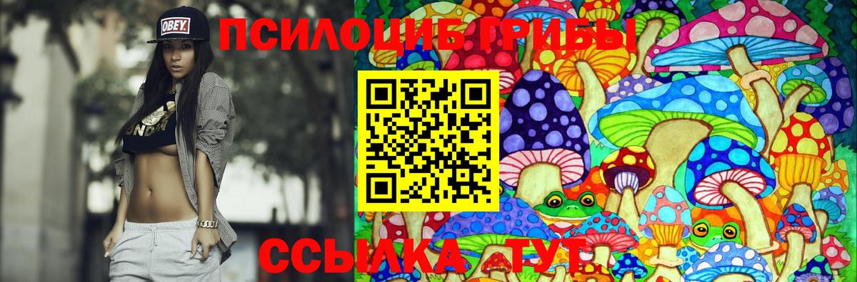 Галлюциногенные грибы GOLDEN TEACHER Чапаевск