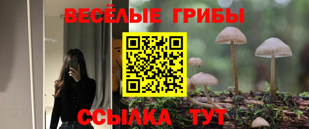 Галлюциногенные грибы Magic Shrooms  где можно купить   Вход с VPN  Чапаевск  Галлюциногенные грибы Cubensis 